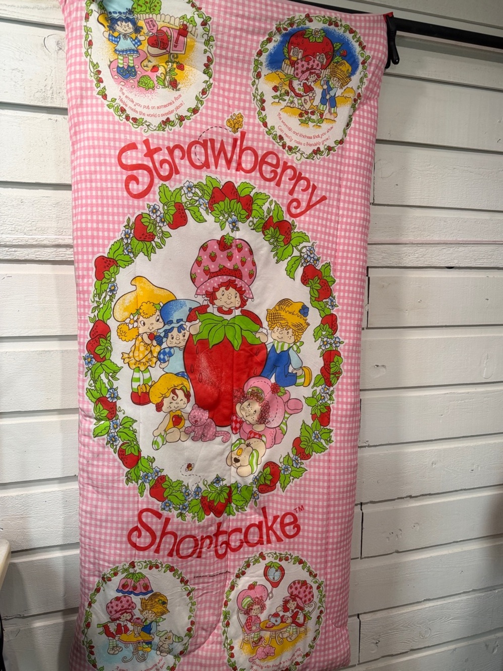1980’s Strawberry Shortcake sleeping bag